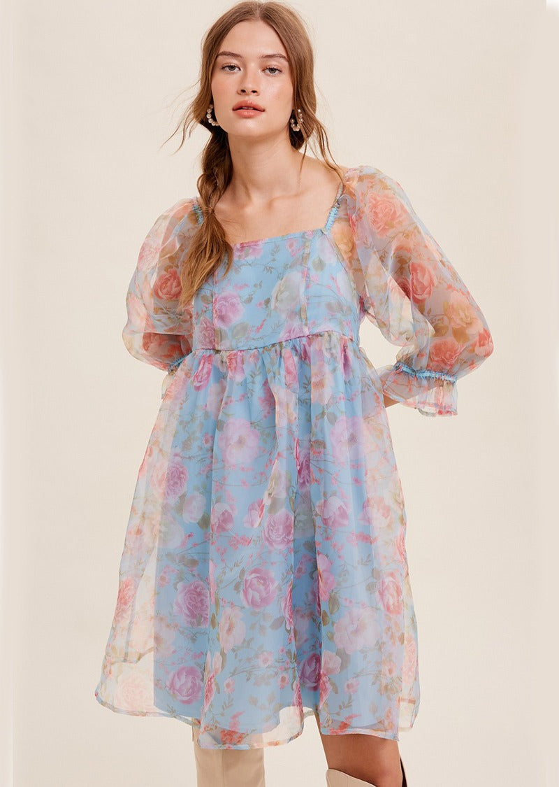 Cassandra Organza Mini Dress